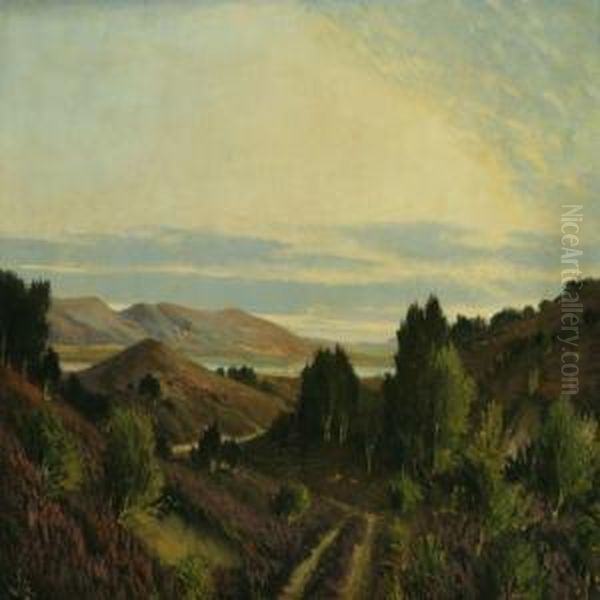 Dollerup Hills - view 1