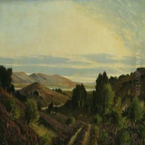 Dollerup Hills by Hans Agersnap