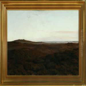 Landscape by Hans Agersnap