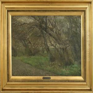 Autumn Landscape With Windbreak by Hans Agersnap