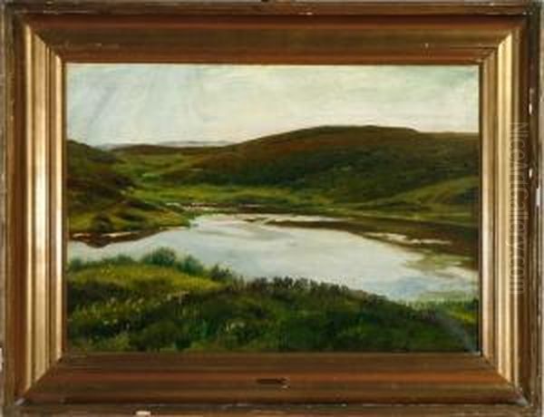 A Danish Landscape At Spring Time - view 1