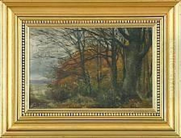 Autumn Forest - view 1
