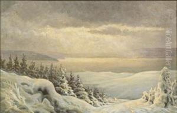 Winter Landscape - view 1