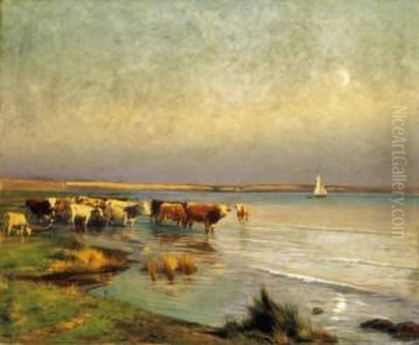 Cows By The Lake Balaton - view 1