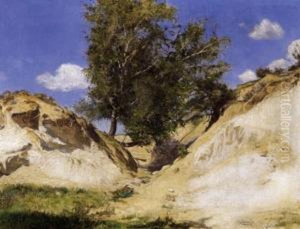 Lonely Poplar - view 1