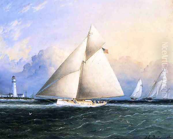 Yacht Race - view 1