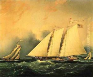 The Narrows by James E. Buttersworth