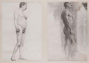 Estudios De Desnudos Estudios De Desnudos