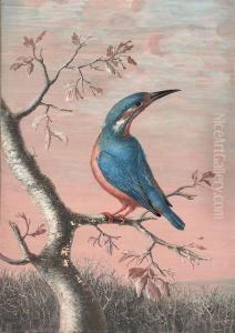 A Kingfisher On A Branch