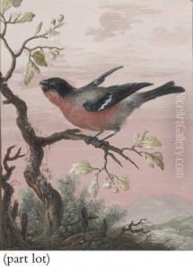 Birds, Each Perched On A Branch by Christophe-Ludwig Agricola