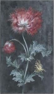 Branche De Fleurs Et Papillons by Christophe-Ludwig Agricola