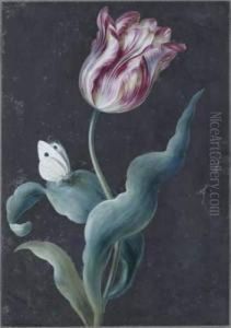 Tulipe Et Papillon by Christophe-Ludwig Agricola