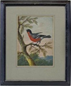 A Finch Resting On A Branch A Landscape Beyond