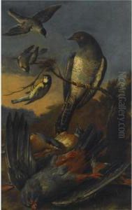 A Kestrel, A Great-tit And Other Birds In A Landscape A Kestrel, A Great-tit And Other Birds In A Landscape