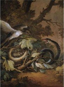 A Still Life With A Viper And A Bird's Nest by Christophe-Ludwig Agricola