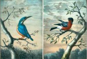 Un Martin-pecheur Sur Une Branche D'arbre