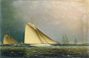 Puritan Racing Off of Staten Island by James E. Buttersworth