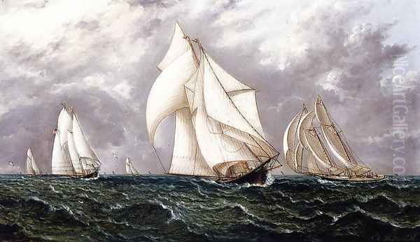 The Yacht Race - view 1