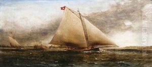 Yacht Race off Castle Garden, New York