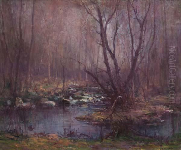 Stream In A Wooded Landscape - view 1