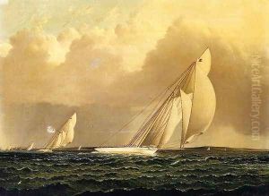 Yacht Race in New York Harbor