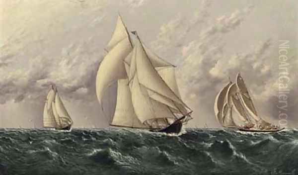 Yachts Racing - view 1