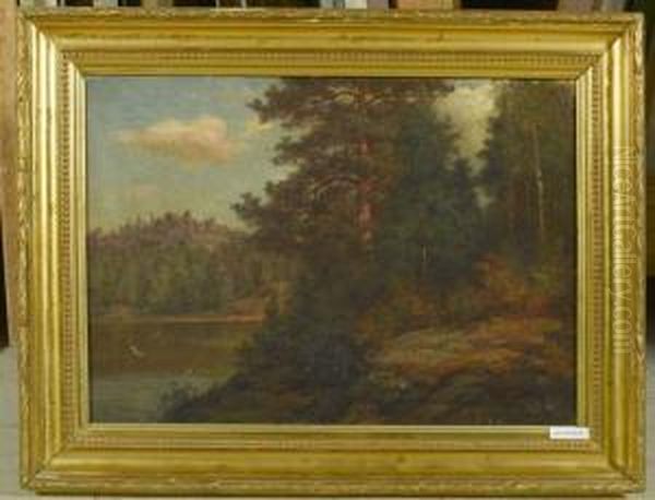 Wald Mit See. - view 1