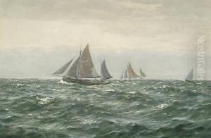 Sailing Boats Out To Sea