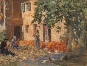 Lavori Nell'aia