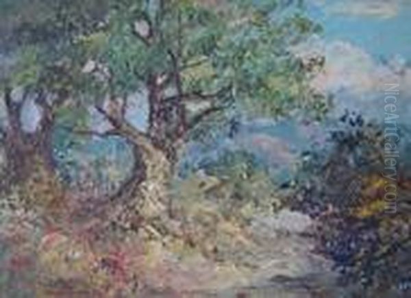 Paesaggio Di Montagna - view 1