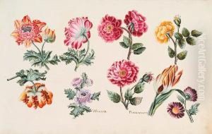 An Album Of Watercolour Flowers
Titled "cayer De Fleurs Detaches Peintes Par Mr Jean Pierre Welter
Pretre, Cydevant, Religieux Benedictin En 1802. Ne En 1742. Religieux En
1759. Secularise En 1790. Aujourdhuy Demeurant A Bouzonville.
Departement D by Jean Alaux