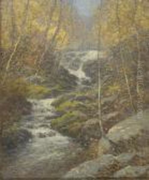 The Waterfall. - view 1