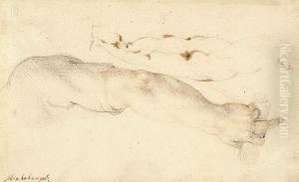 Recto: Study Of An Arm Verso:female Nude And Two Partial Studies Of Ornaments - view 1