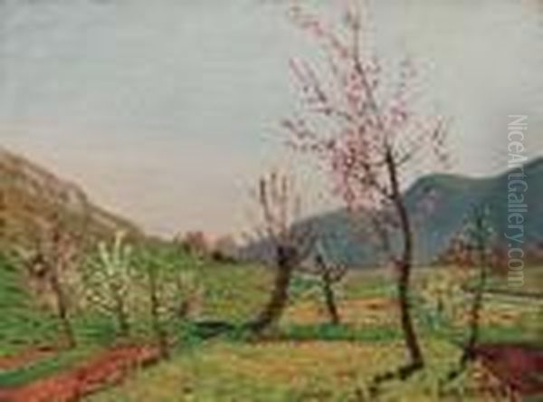 Primavera - view 1