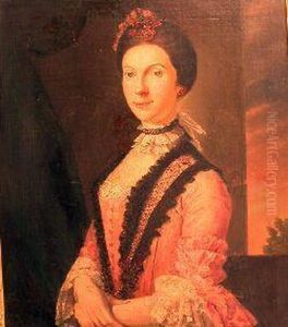 Half Length Portrait Of A Young Lady In A Pink Dress With Blacklace D by Cosmo Alexander