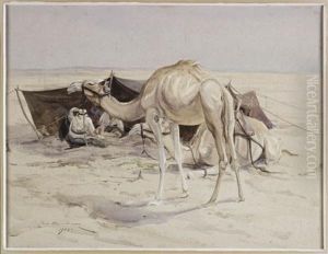 Bedouin Encampment Bedouin Encampment