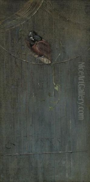 Two Black Hooded Nun Finches In An Aviary - view 1