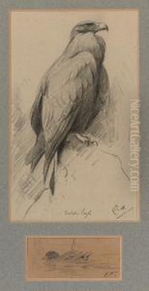 Study Of A Golden Eagle And A Mallard - view 1