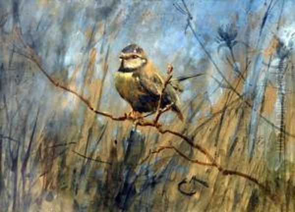 Blue Tit On A Branch - view 1