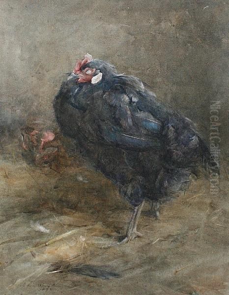 A Chicken - view 1