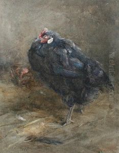 A Chicken A Chicken