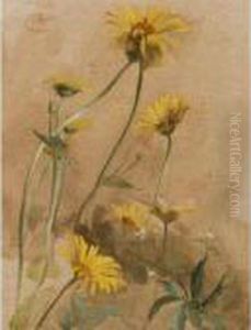 Yellow Daisies Yellow Daisies