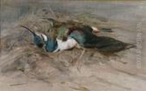Dead Lapwing Dead Lapwing