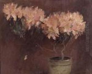 Study For Peonies Study For Peonies