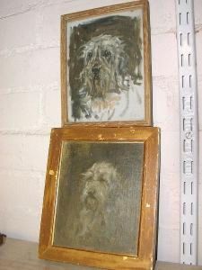 Head Study Of A Bearded Collie by Robert L. Alexander