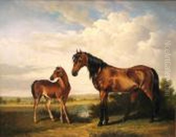 A Mare And Foal In An Extensive Landscape - view 1