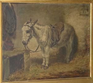 Donkey In A Stable