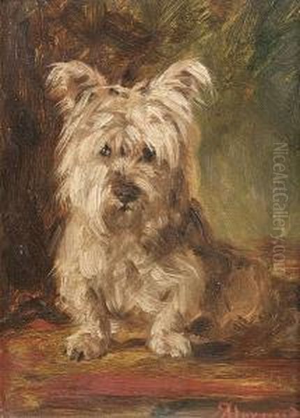 A Skye Terrier - view 1