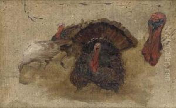 A Study Of Turkeys - view 1