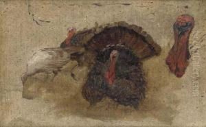 A Study Of Turkeys by Robert L. Alexander